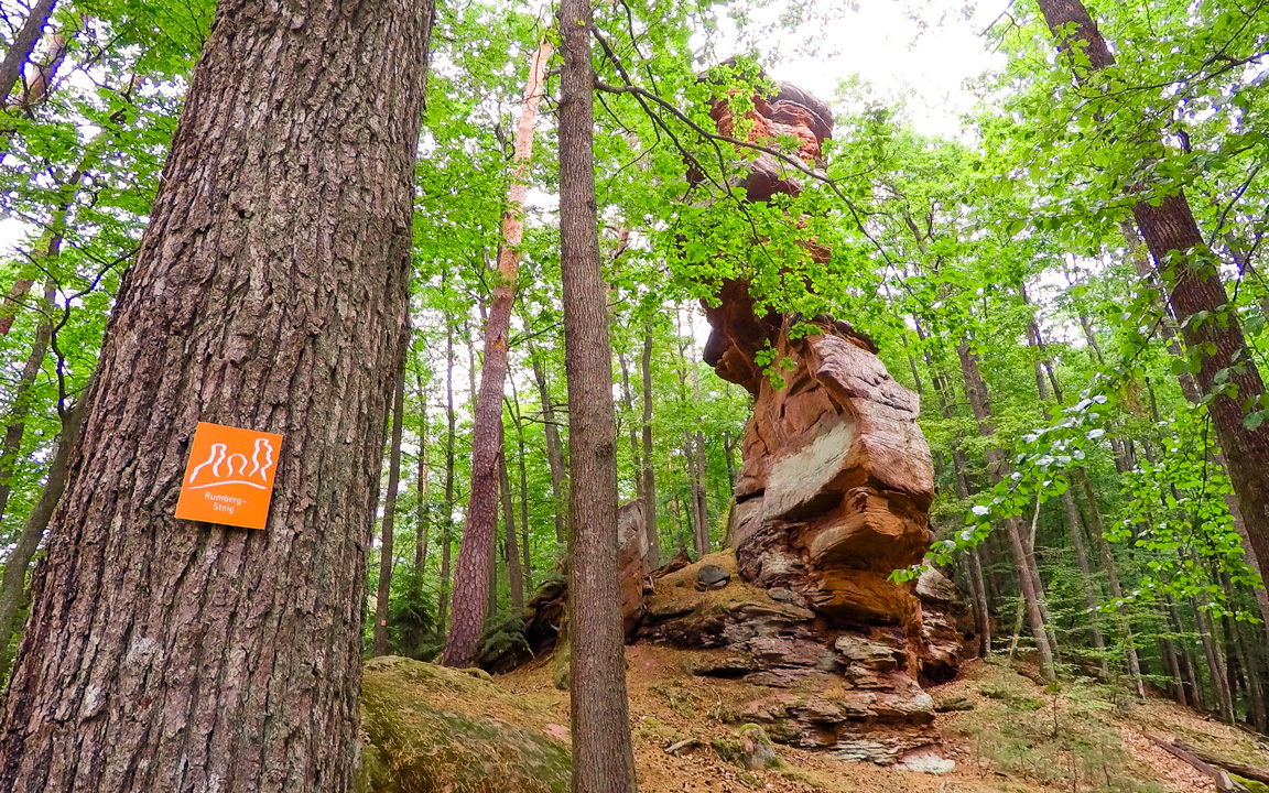 Wanderweg Rumbergsteig