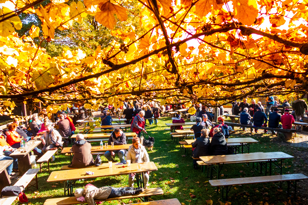 Hocketse im Weingarten